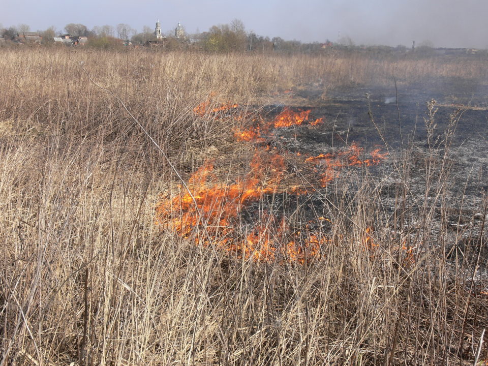 Spring burning of abandoned farmlands on the Vinogradovo Floodplain, Russia, is a serious threat to nesting waders (photo: Alexander Mischenko).