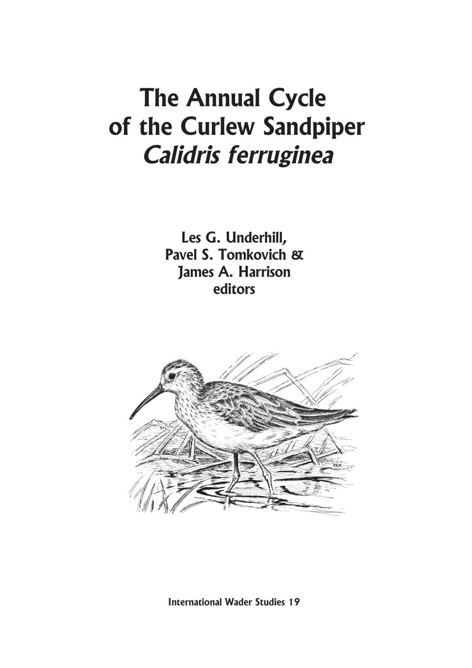 Number 19 - The Annual Cycle of the Curlew Sandpiper
