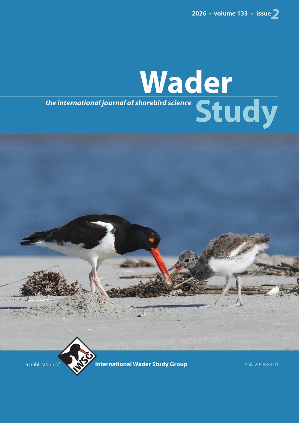 Issue 2
